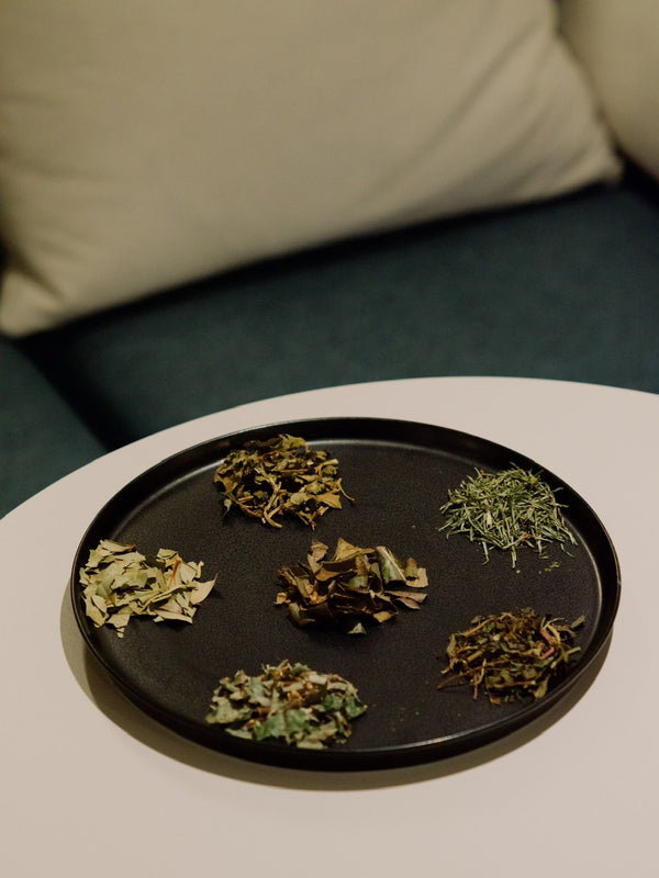 OUSAMA<巡りリフレッシュ>