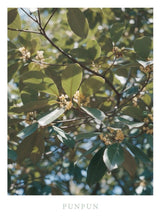 PUNPUN<気の巡り>